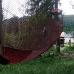 phoca_thumb_m_vp 2.den 232 Fotogalerie